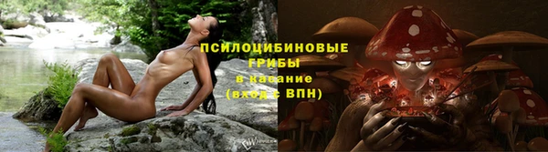 ГАЛЛЮЦИНОГЕННЫЕ ГРИБЫ Надым