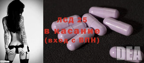 ГАЛЛЮЦИНОГЕННЫЕ ГРИБЫ Надым