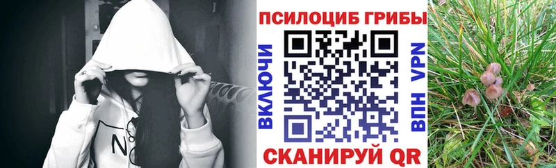 Галлюциногенные грибы MAGIC MUSHROOMS Катайск